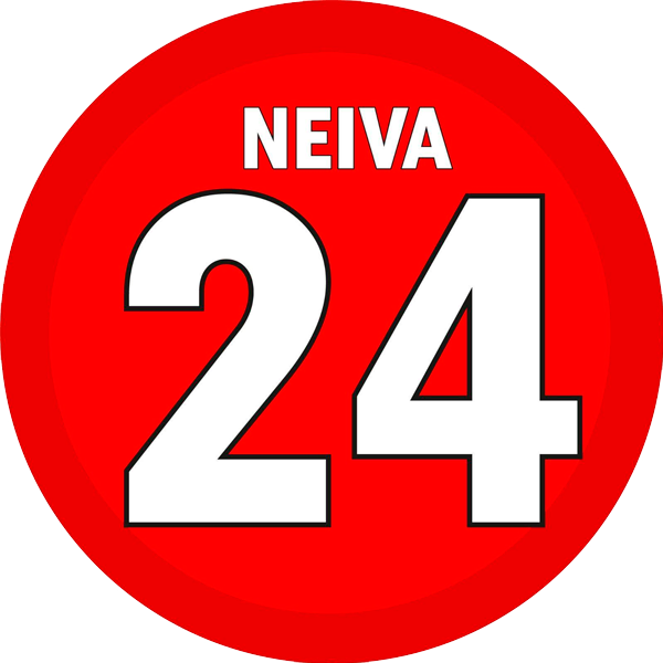 Neiva 24