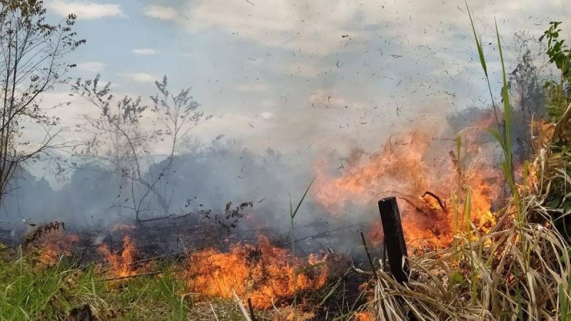 Incendios forestales destruyen 4.024 hectáreas en el Huila